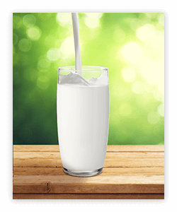 Milk and dairy foods provide benefits to people across the lifespan.